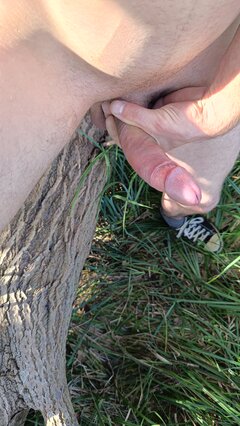 IMG20240923131557.jpg