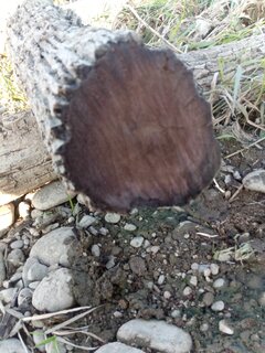 IMG_20240923_170625_4.jpg