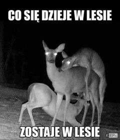 FB_IMG_1611945811982.jpg