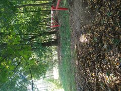 IMG_20240924_123753461.jpg