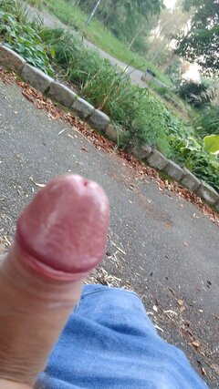 IMG_20240922_065641_1.jpg