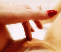 IMG_20240925_112528.jpg