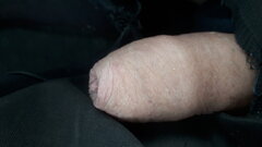 20240926_101726.jpg