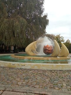 IMG_20240926_110432.jpg