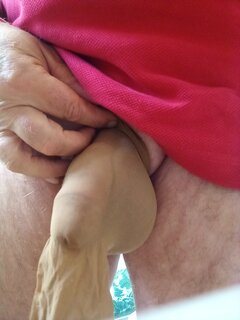 IMG_20240927_114624_282.jpg