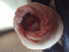 IMG_20240927_142048350.jpg