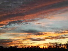 IMG_20240927_182505_371.jpg