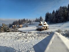 IMG20221120092109.jpg