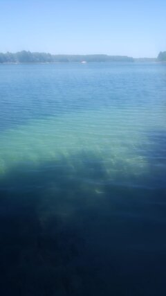 IMG-20240928-WA0003.jpg