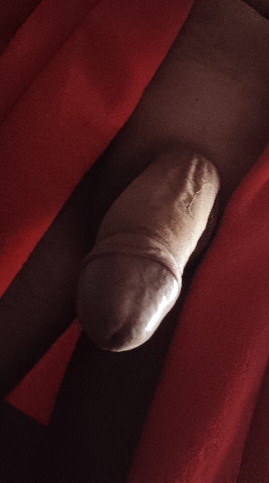 1000060332.jpg - Chagal69