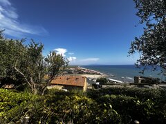 IMG_2279.jpeg