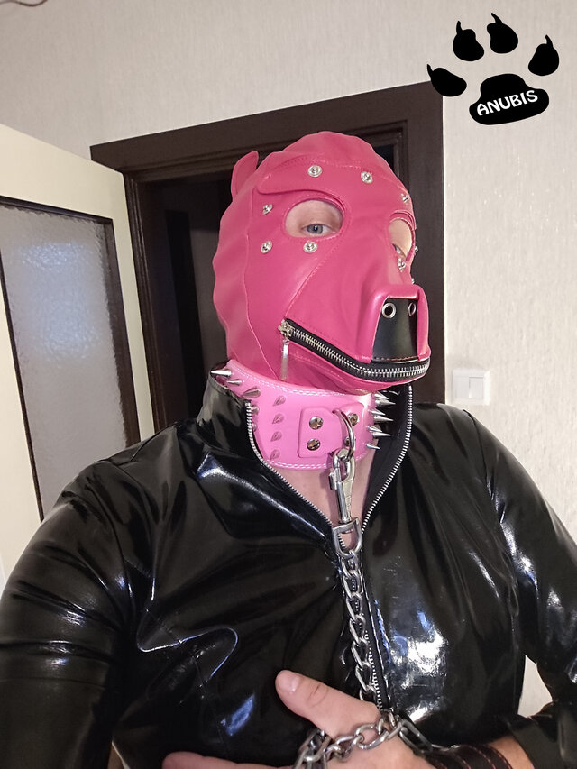 Anubis86PL