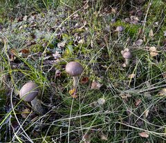 IMG_5095.jpeg