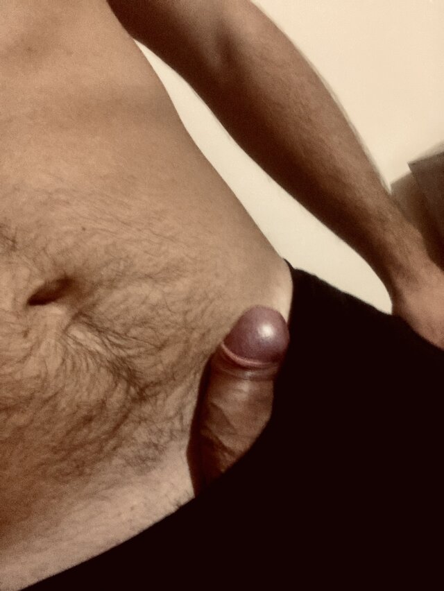 Damiano255