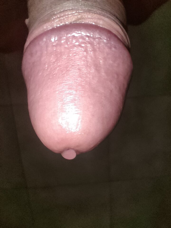 IMG20240930120253.jpg - Nowytubi