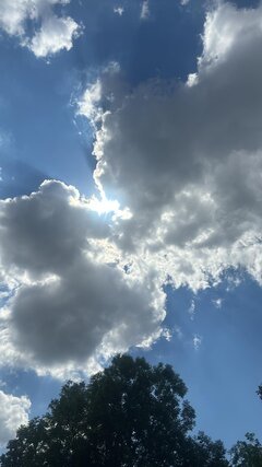 IMG_3065.jpeg