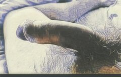 1000000510.jpg