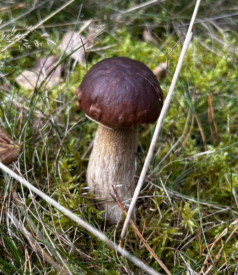 IMG_5235.jpeg - NaturystaXXX