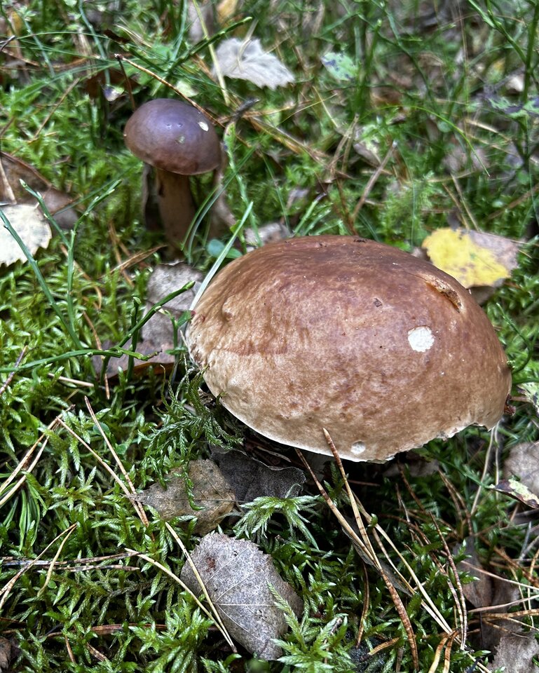 IMG_5233.jpeg - NaturystaXXX