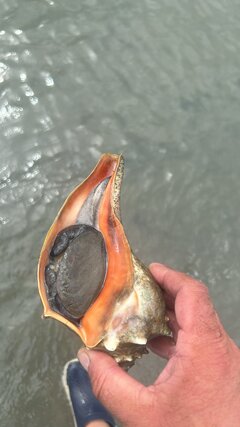 IMG_1759.jpeg
