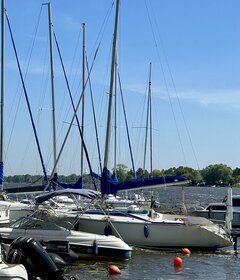 IMG_1048.jpeg