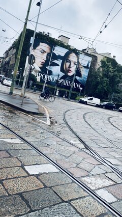 IMG_7511.jpeg