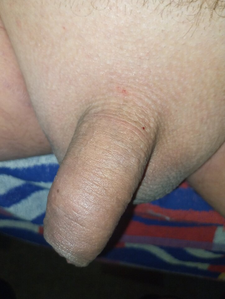 1000005240.jpg - kudlaty12810