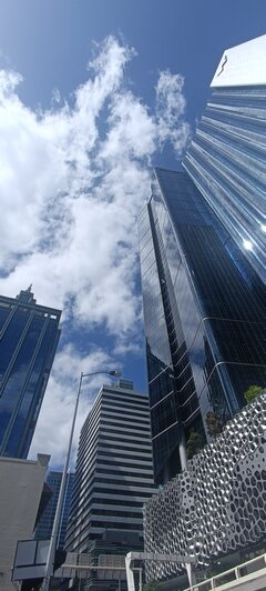 IMG_20241003_132519.jpg