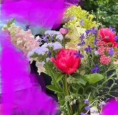 img_1_1689228808152~3.jpg