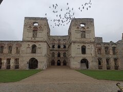 IMG_20241004_120818.jpg