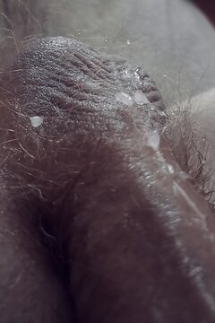 IMG_20241005_060239.jpg