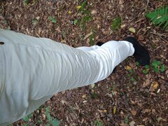 IMG_20241005_145538655.jpg