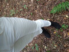 IMG_20241005_145541666.jpg