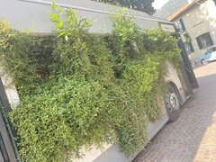 IMG_7765.jpeg