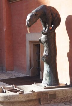 IMG_20241006_191556.jpg