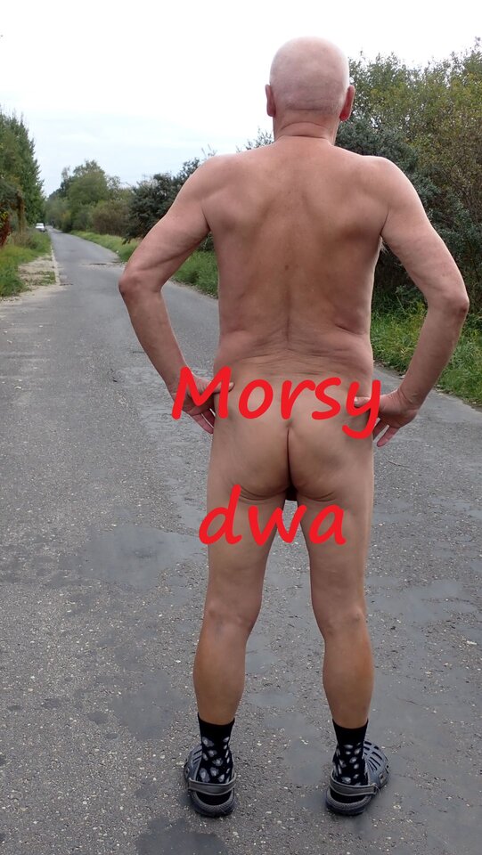Sesja po drodze. - Morsy_dwa