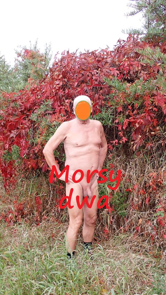 Sesja po drodze. - Morsy_dwa