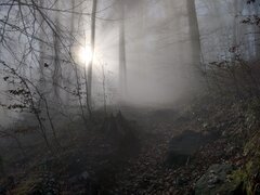 fc8489ac-8c2c-4190-9b82-aae1b423c7fa-1_all_5800.jpg