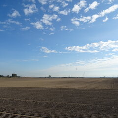 DSC03547.JPG