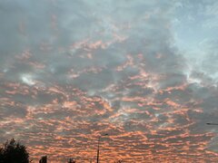 IMG_3815.jpeg