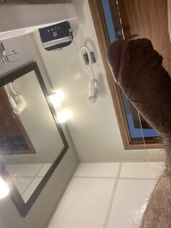 IMG_1369.jpeg