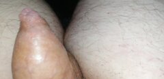 IMG_20241009_093732.jpg