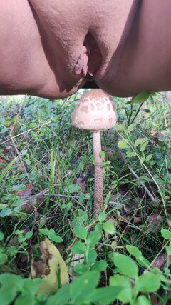 IMG_20241008_161704.jpg