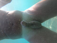 GOPR0989_1660424040428.JPG
