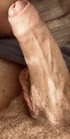 IMG_4950.jpeg