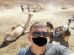 IMG_20231124_111808.jpg
