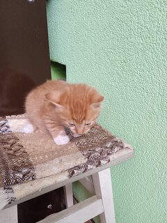IMG_20230612_144558.jpg