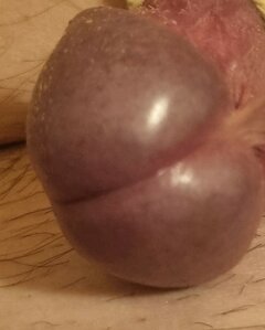20241012_181951.jpg
