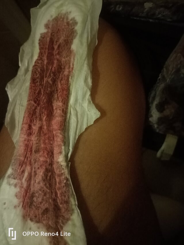 rasowa_suka45