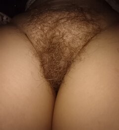 IMG_20241013_003156377.jpg